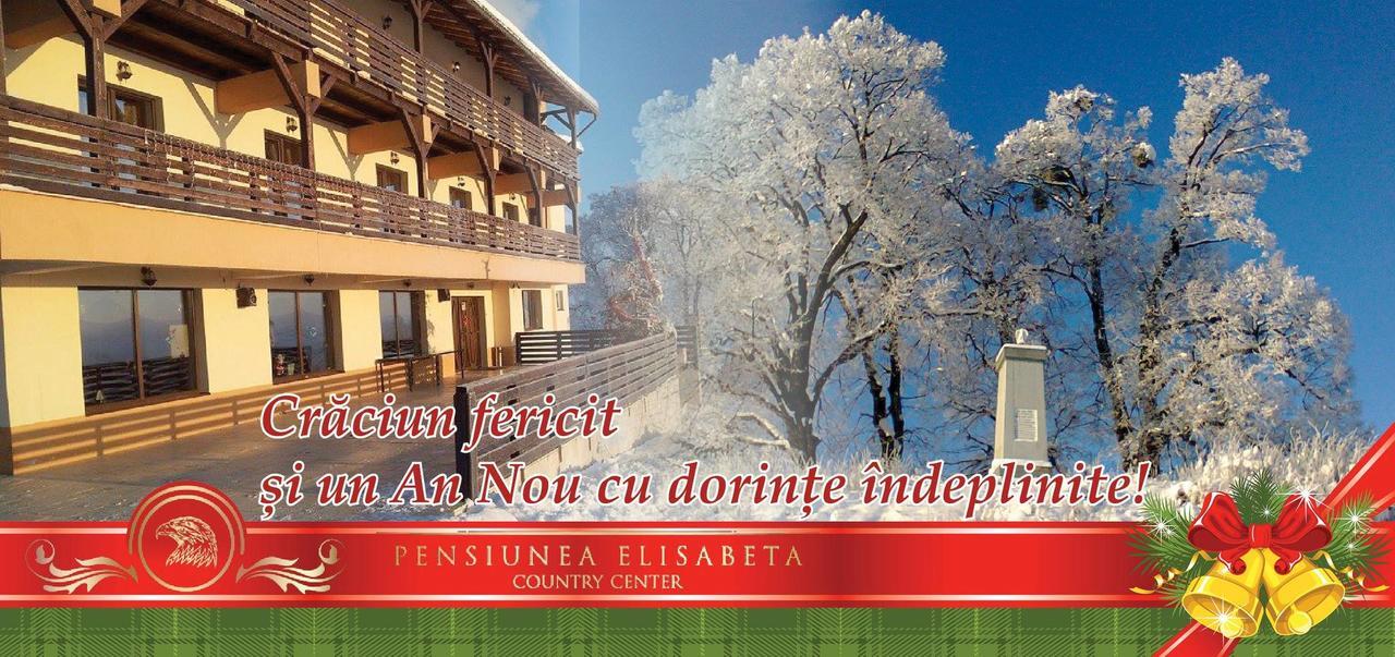 Pensiunea Elisabeta Merghindeal Luaran gambar