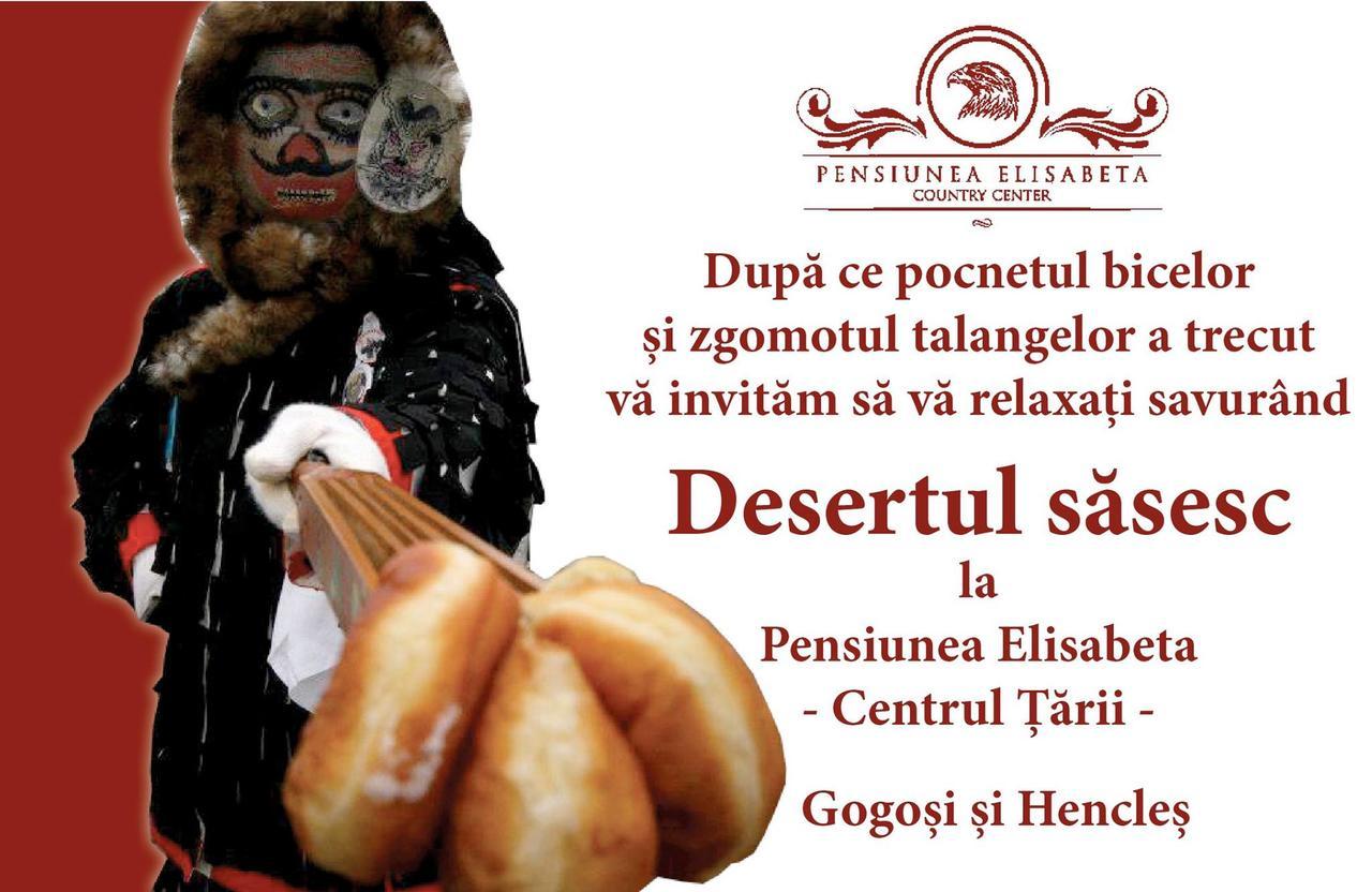 Pensiunea Elisabeta Merghindeal Luaran gambar